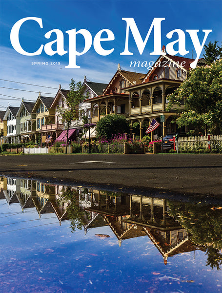 Spring 2019 issue - Cover photograph of Stockton Row Houses by Martin Garvalov