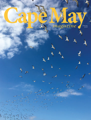 Spring 2020 cover featuring photograph of gulls in flight by Carol Hannon